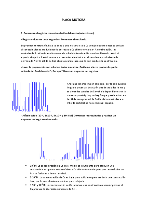 Miniatura del documento PLACA MOTORA.pdf