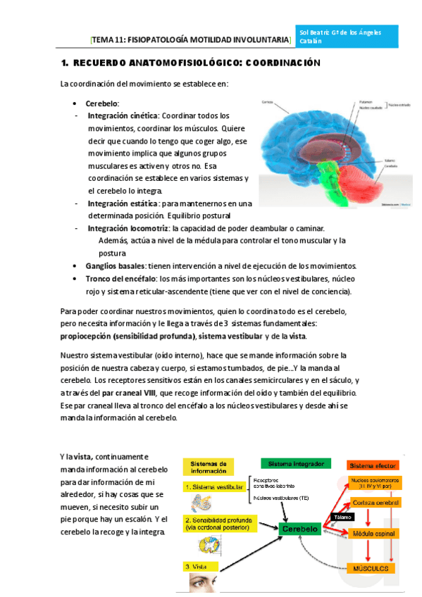 Miniatura del documento TEMA 11 TRASTORNOS MOTILIDAD INVOLUNTARIA.pdf