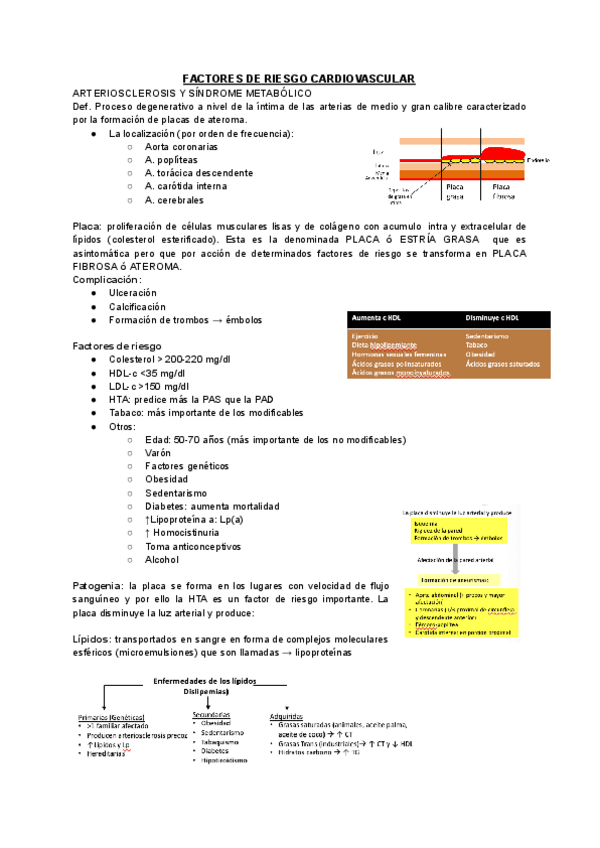 Miniatura del documento FACTORES-DE-RIESGO-CARDIOVASCULAR.pdf