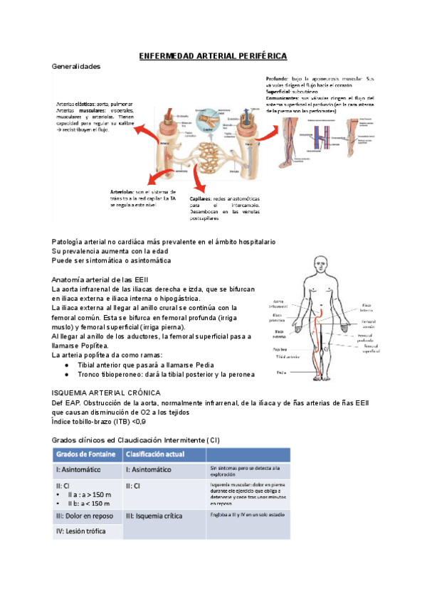 Miniatura del documento PATOLOGIA-VASCULAR-PERIFERICA.pdf