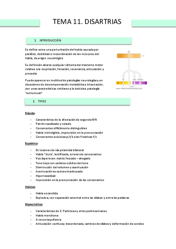 Miniatura del documento TEMA-11-Y-13-PATOLOGIAS-DEL-DESARROLLO.pdf