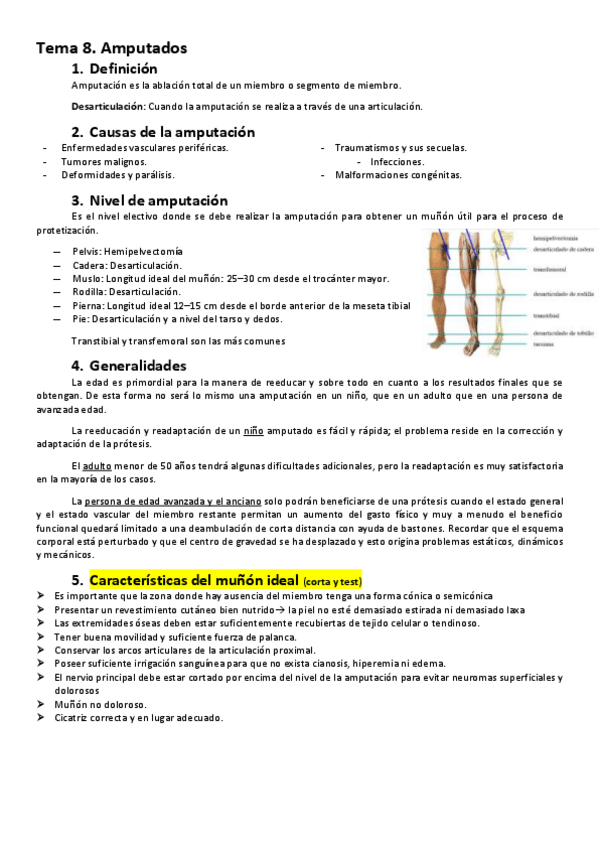 Miniatura del documento T8.-FAL-II.pdf