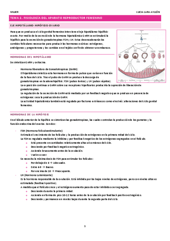 Miniatura del documento APUNTES-MUJER.pdf
