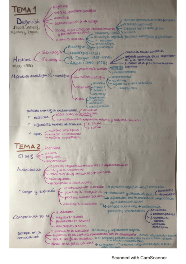 Miniatura del documento Esquemas-psicologia-social.pdf