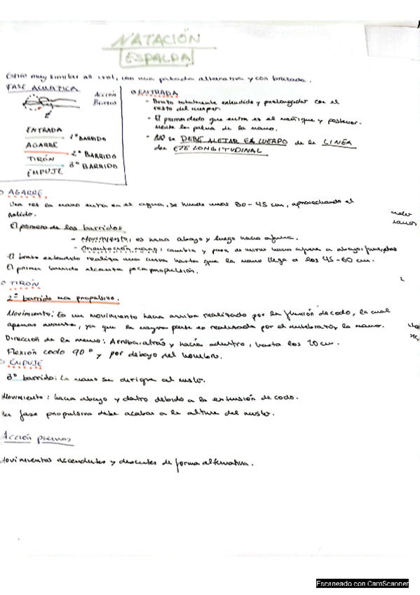 Miniatura del documento ESPALDA.pdf