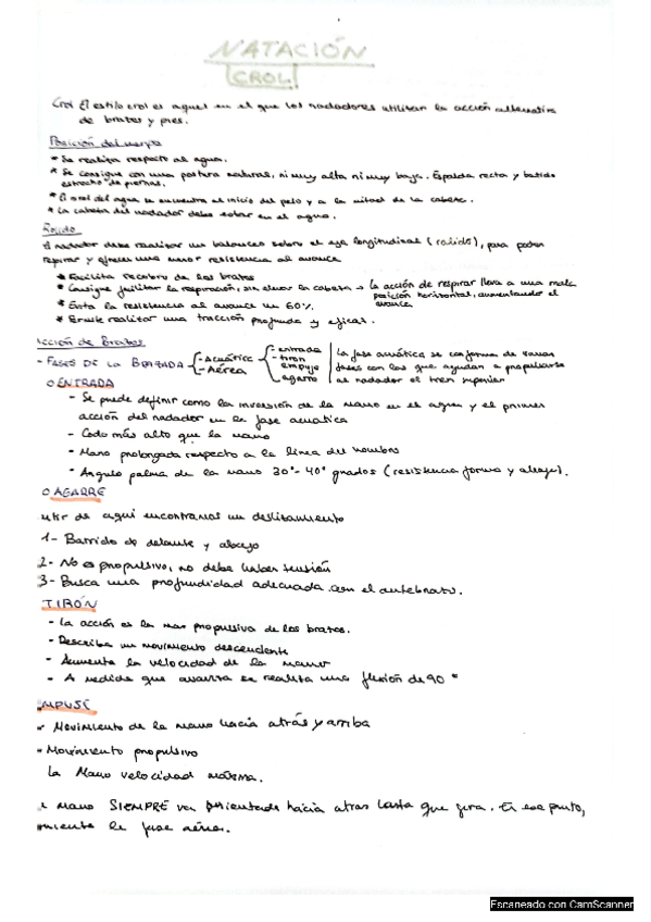 Miniatura del documento BRAZA.pdf