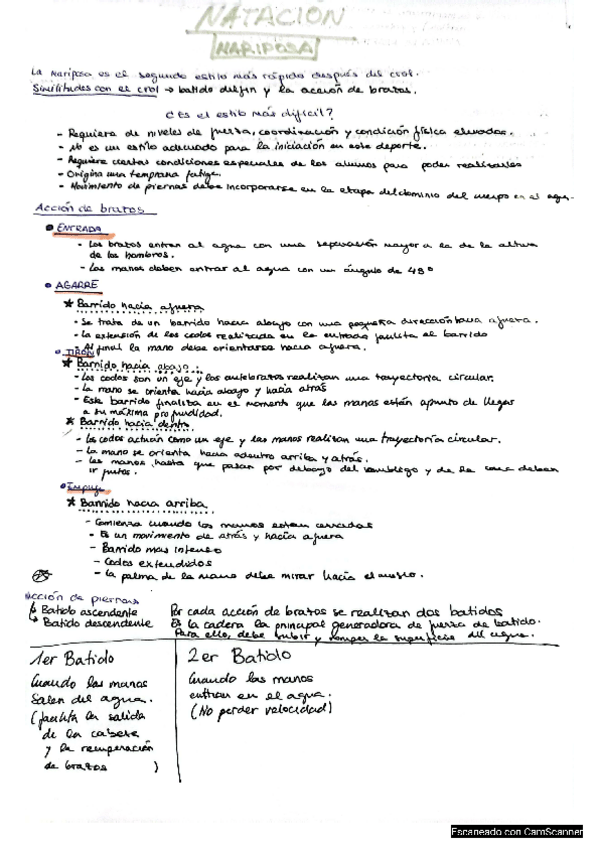 Miniatura del documento MARIPOSA.pdf