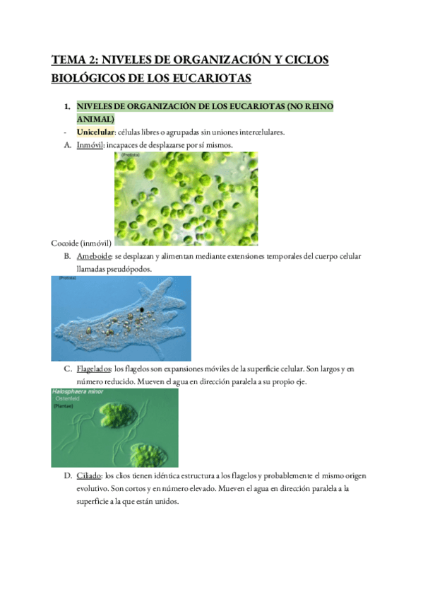 Miniatura del documento TEMA-2-BIOLOGIA.pdf