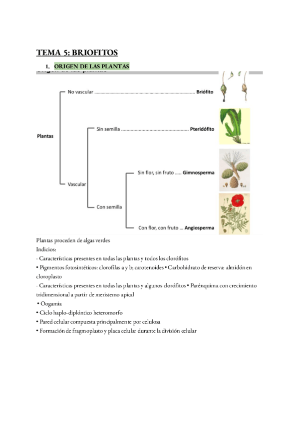 Miniatura del documento TEMA-5-BIOLOGIA.pdf