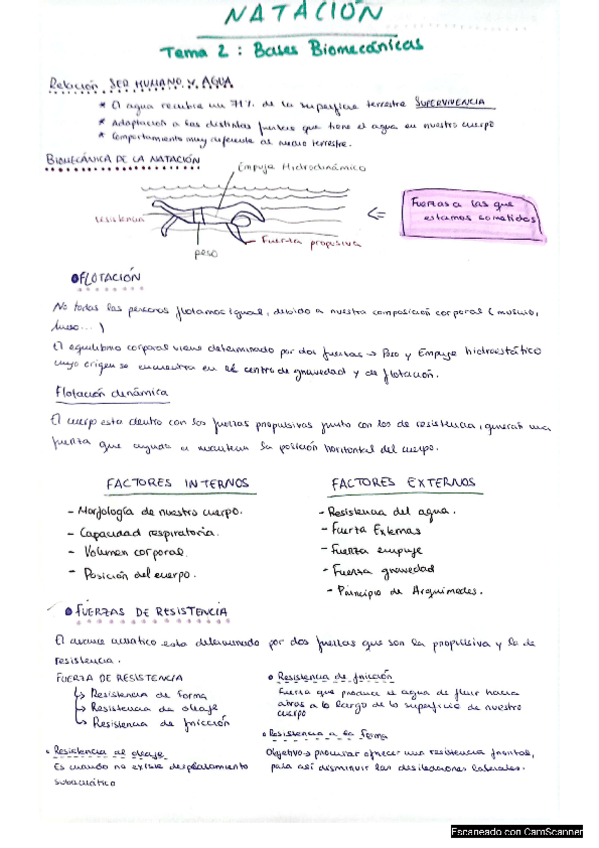 Miniatura del documento HISTOIA.pdf