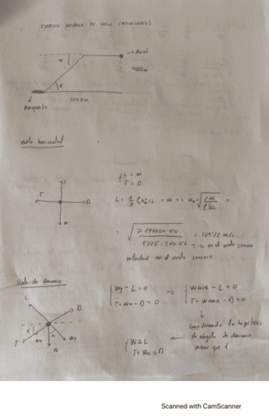 Miniatura del documento EJERCICIO-MECANICA-DE-VUELO.pdf