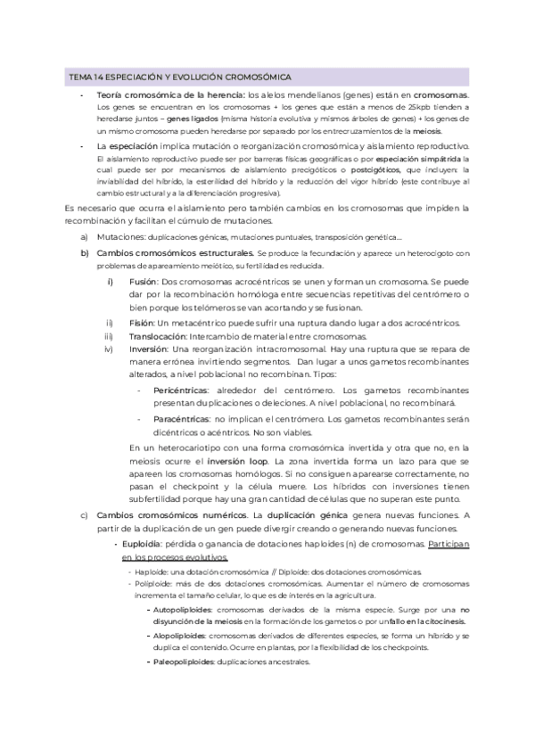 Miniatura del documento RESUMEVOSegonParcial.pdf