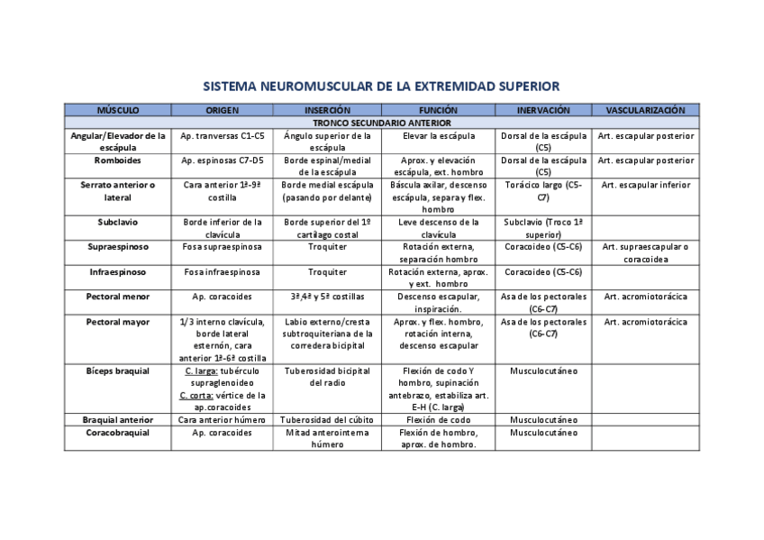 Miniatura del documento CUADRO-MUSCULOS-MIEMBRO-SUPERIOR.pdf