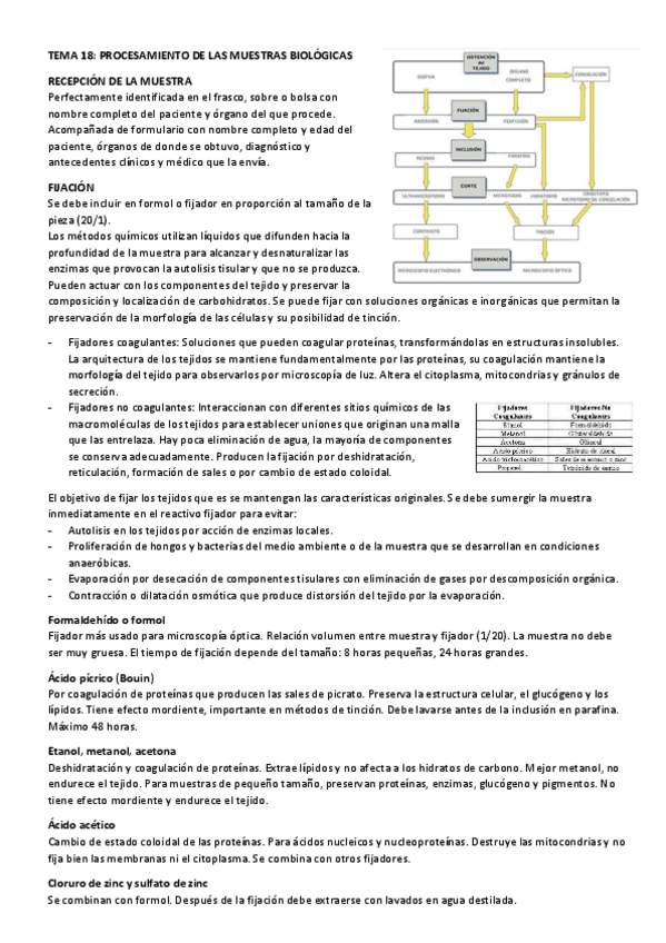 Miniatura del documento Tema-18-gestion-de-muestras-biologicas.pdf