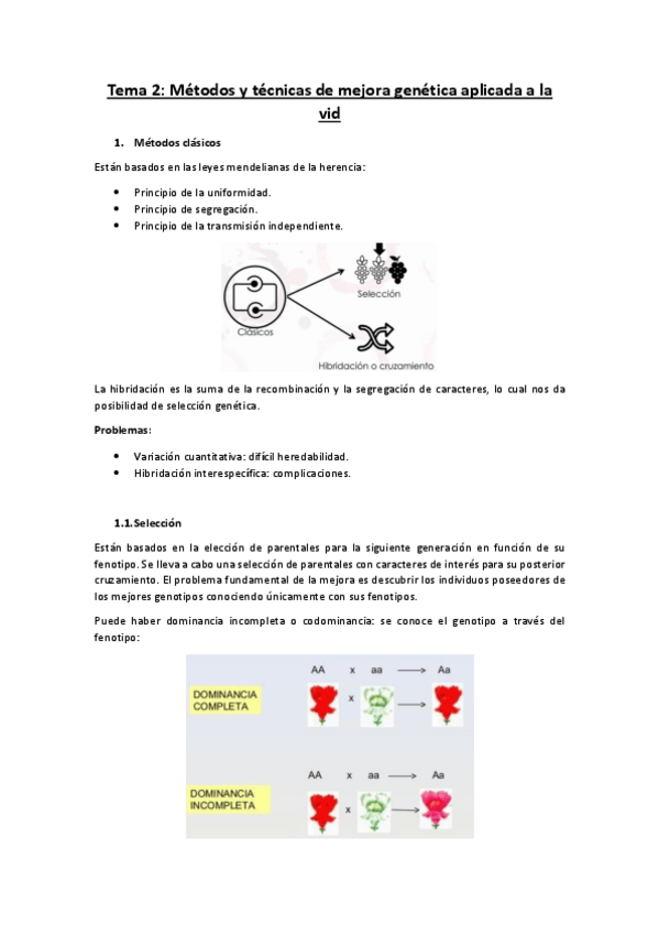 Miniatura del documento Tema2.pdf