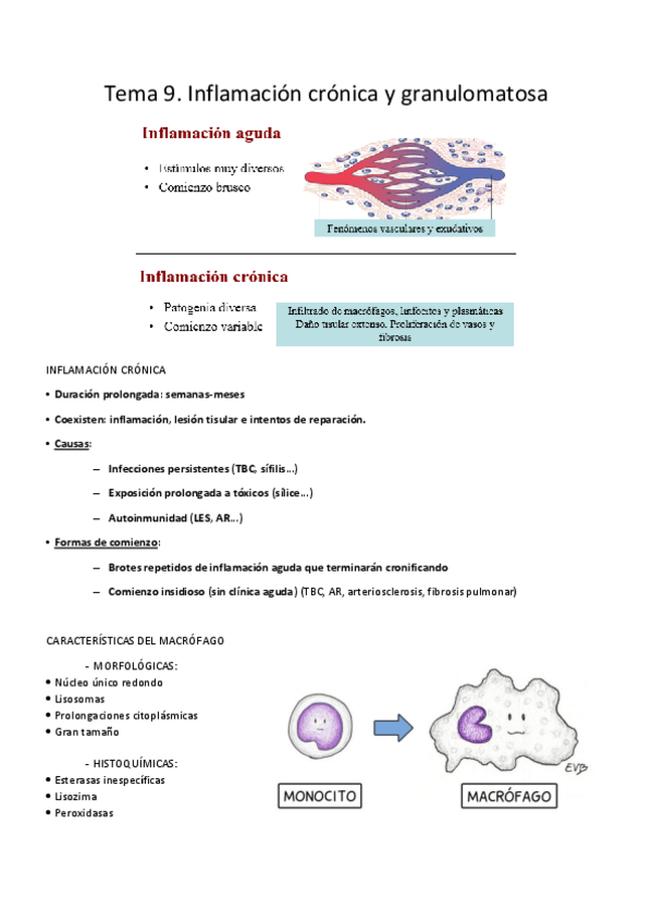 Miniatura del documento Tema 9 APatológica.pdf