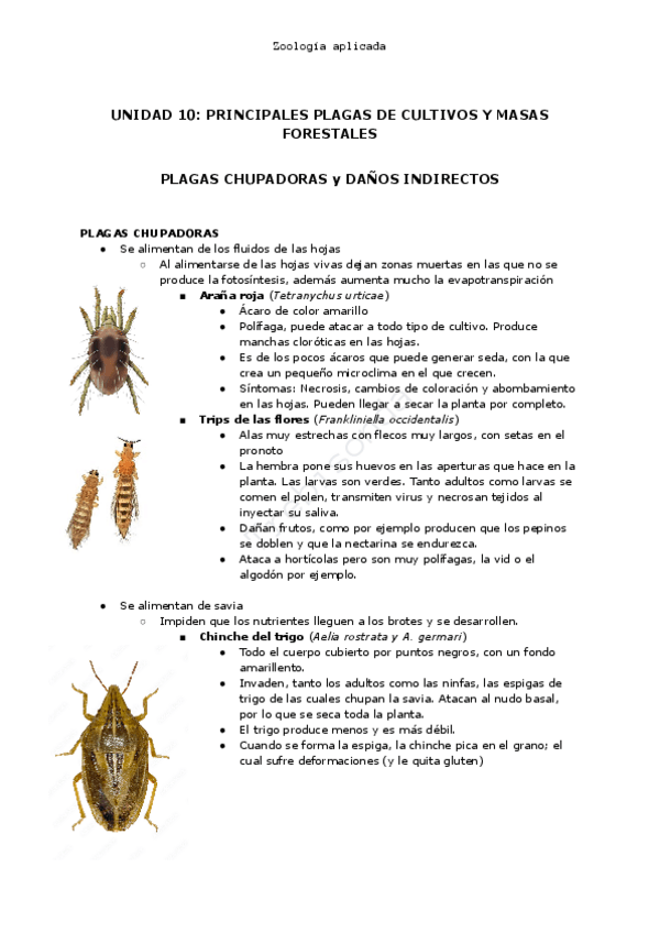 Miniatura del documento Unidad 10: Plagas chupadoras.pdf