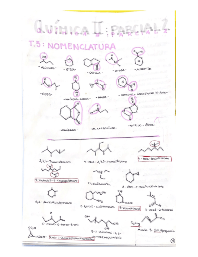 Miniatura del documento Parcial-2-Seminarios-Resueltos-Y-Teoria-Parte-1.pdf