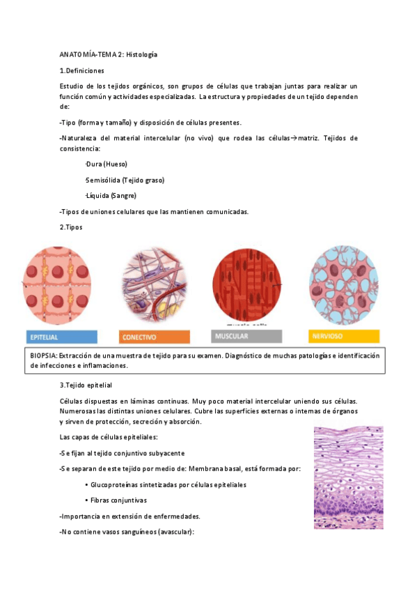 Miniatura del documento Tema-1-Histologia.pdf