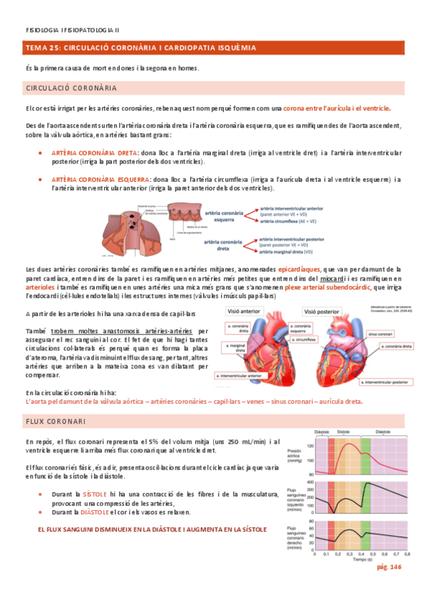 Miniatura del documento TEMA-25-CIRCULACIO-CORONARIA-I-CARDIOPATIA-ISQUEMIA.pdf