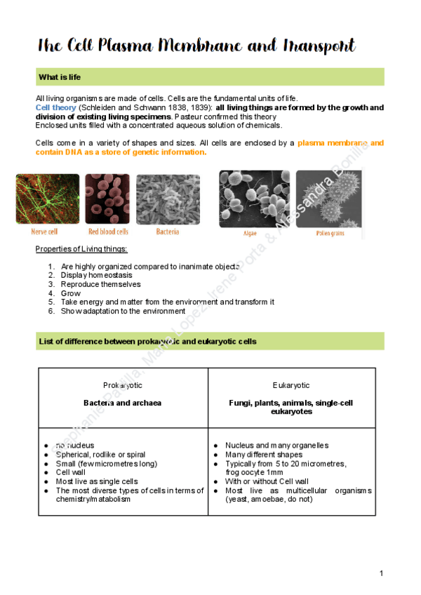 Miniatura del documento 1.-Plasma-membrane-and-Transport.pdf