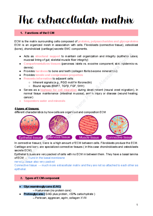 Miniatura del documento 2.-ECM.pdf