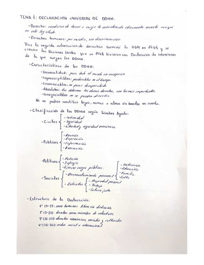 Miniatura del documento Lo-mas-importante-de-DDHH-explicado-y-resumido.pdf