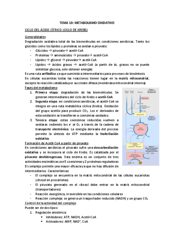 Miniatura del documento TEMA-10.pdf