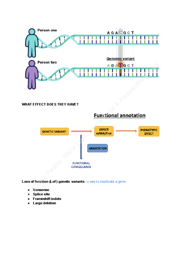 Miniatura del documento W6.2.pdf
