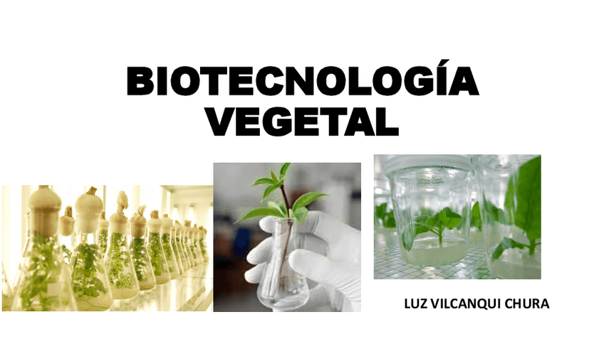 Miniatura del documento Biotecnologia-Vegetal.pdf