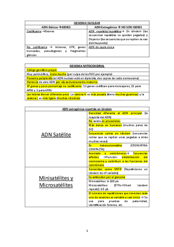 Miniatura del documento Resumen-tema-1-genetica.pdf