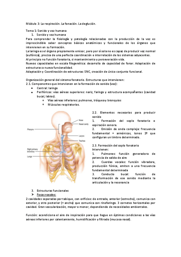 Miniatura del documento Modulo-3.pdf