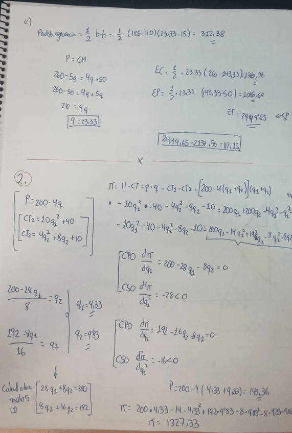Miniatura del documento 4.jpg