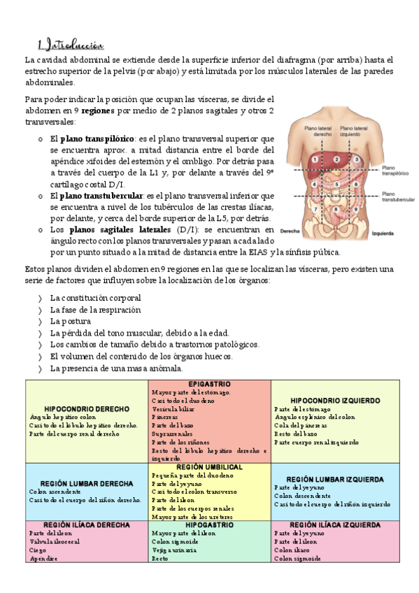 Miniatura del documento Abdomen.pdf