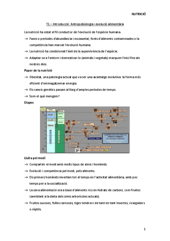 Miniatura del documento N-T1.pdf