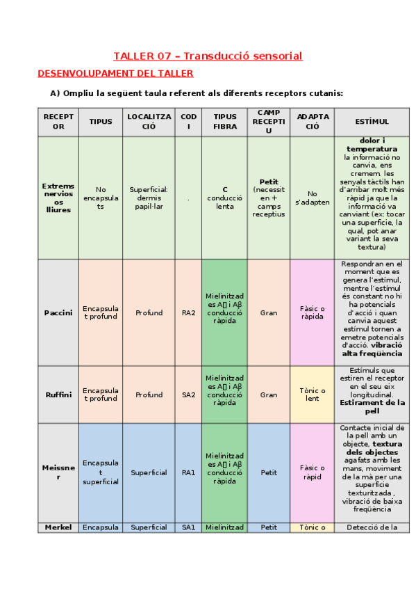 Miniatura del documento TALLER-07-RECEPTORS-SENSORIALS.docx
