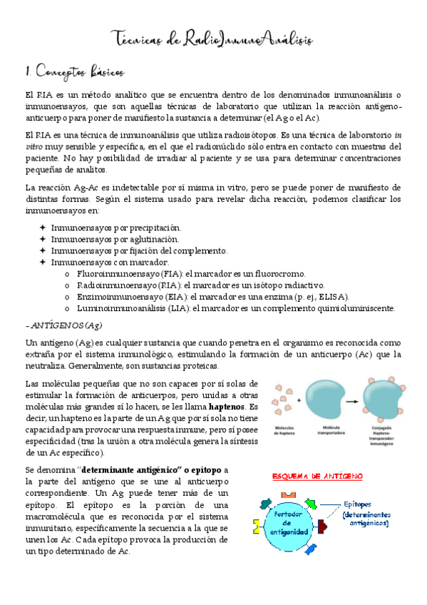 Miniatura del documento Técnicas RIA.pdf