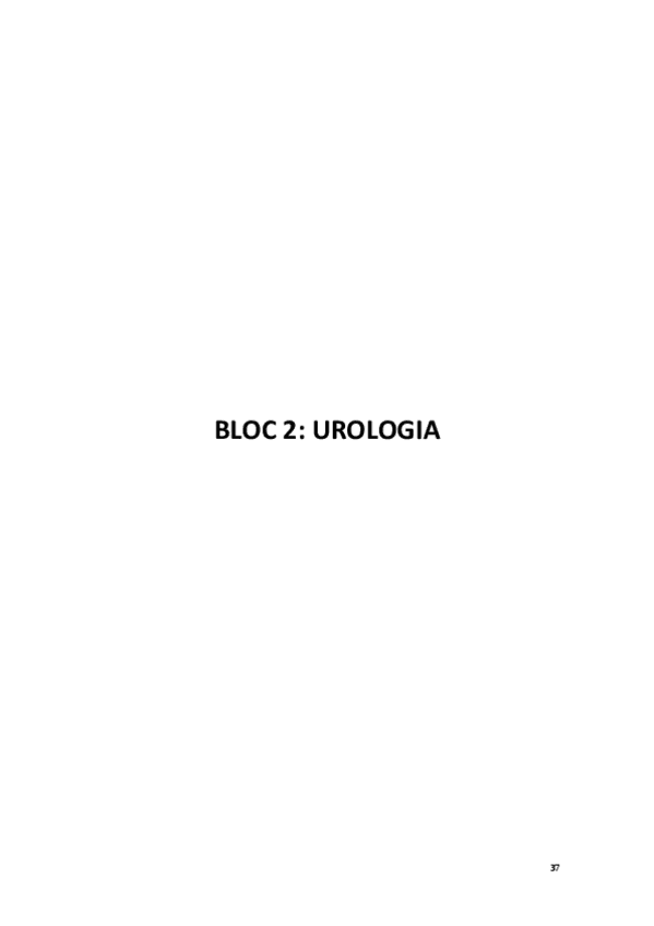 Miniatura del documento bloc-urologia.pdf