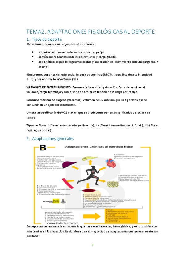 Miniatura del documento temario-deportiva.pdf