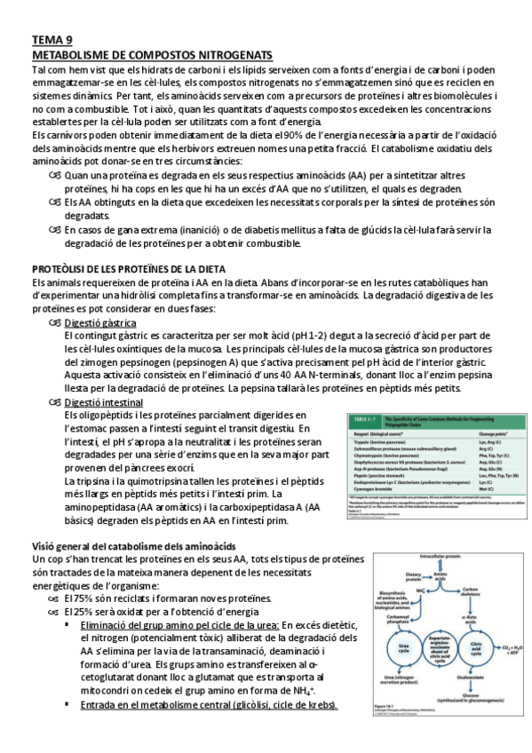 Miniatura del documento TEMA9AB - Resum.pdf