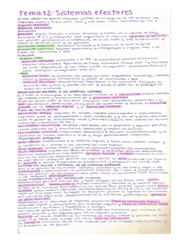 Miniatura del documento Tema-12-sistemas-efectores.pdf