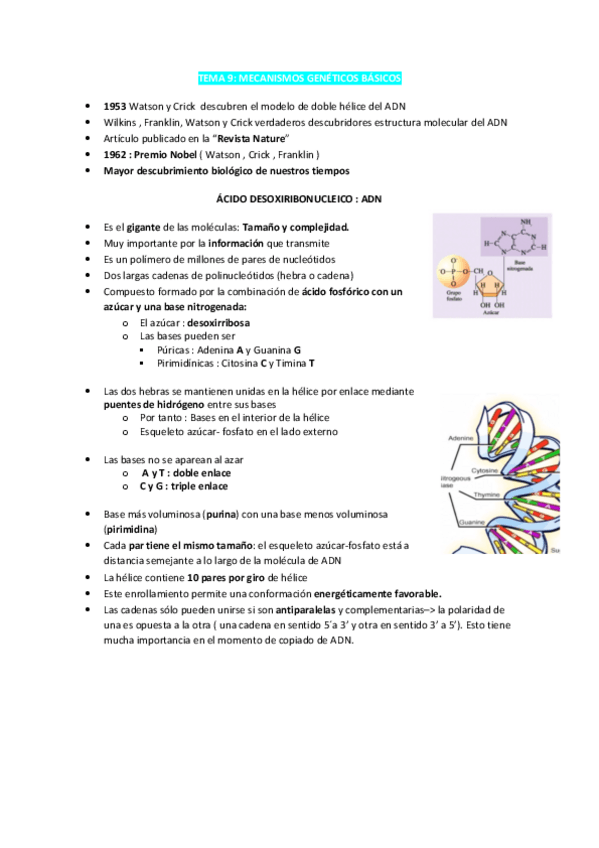 Miniatura del documento Tema-9-Biologia-mecanismos-geneticos-basicos-1o-enfermeria.pdf
