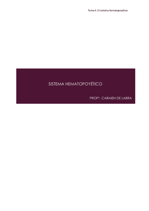 Miniatura del documento Tema-4-fisiologia-sistema-hematopoyetico-1o-enfermeria.pdf