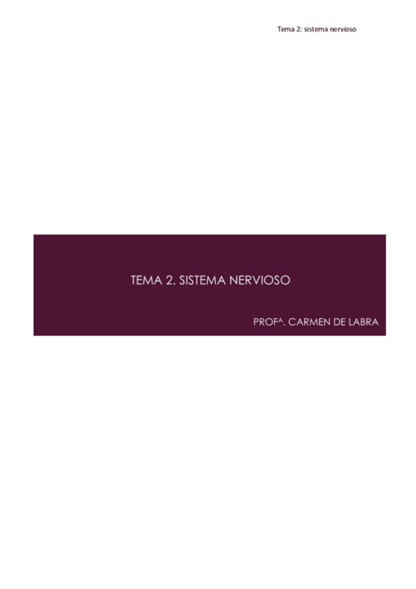 Miniatura del documento Tema-2-fisiologia-sistema-nervioso-1o-enfermeria.pdf
