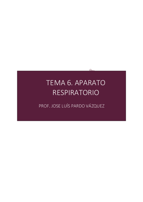 Miniatura del documento Tema-6-fisiologia-aparato-respiratorio-1o-enfermeria.pdf