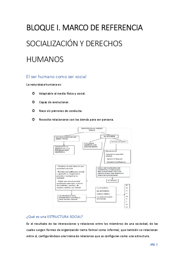 Miniatura del documento libro-de-educacion-social-e-intercultural-1.pdf