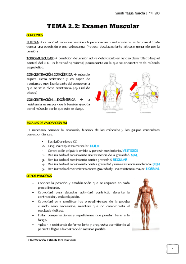 Miniatura del documento T2.2-Examen-Muscular-Sarah.pdf