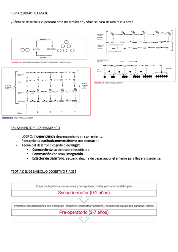 Miniatura del documento TEMA-2-DIDACTICA-MATE.pdf