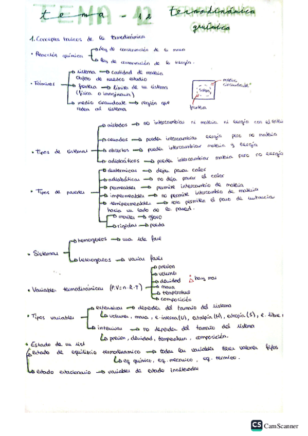 Miniatura del documento resumen-parcial-3-tema-12-y-13.pdf