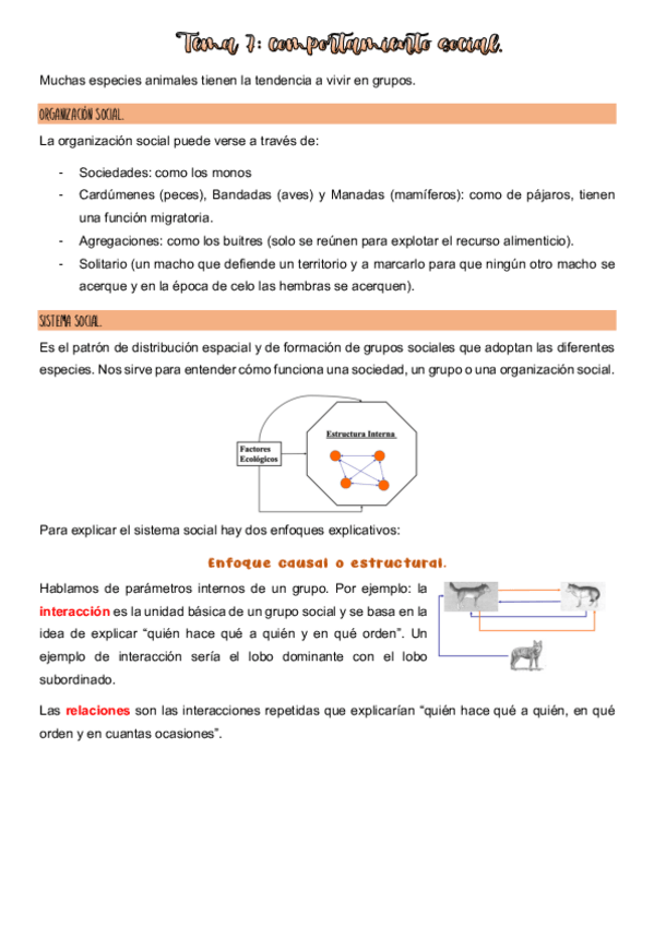 Miniatura del documento Tema-7-apuntes-etiologia.pdf
